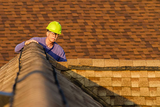 Best Roof Maintenance Services  in Bear Rocks, PA